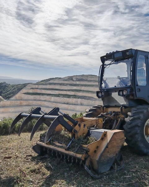 Garcin Elagage Elagage Vaucluse Debroussaillage Forestier 1 Garcin Elagage Elagage Vaucluse Debroussaillage Forestier 1