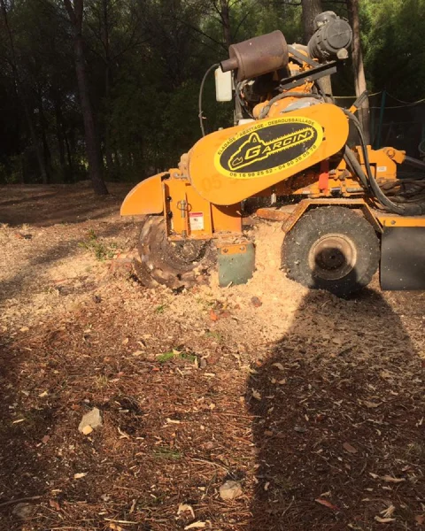 Garcin Elagage Elagage Vaucluse Dessouchage 2 Garcin Elagage Elagage Vaucluse Dessouchage 2