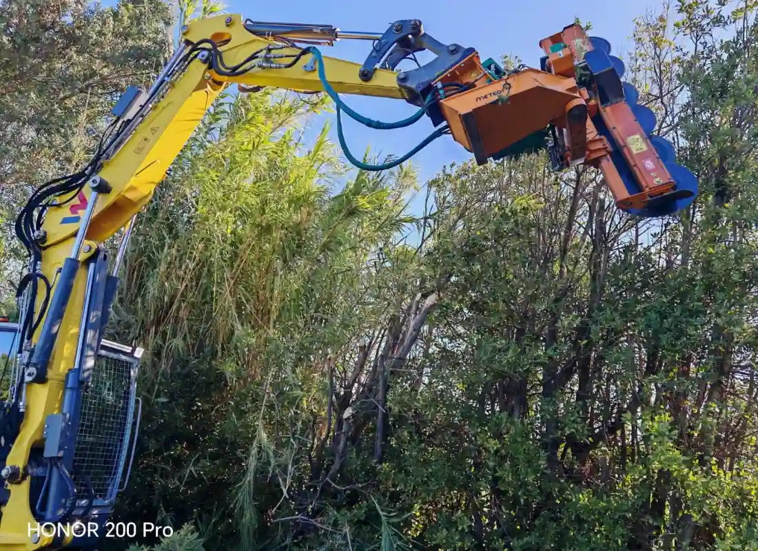 Garcin Elagage Elagage Vaucluse Realisation 26 1