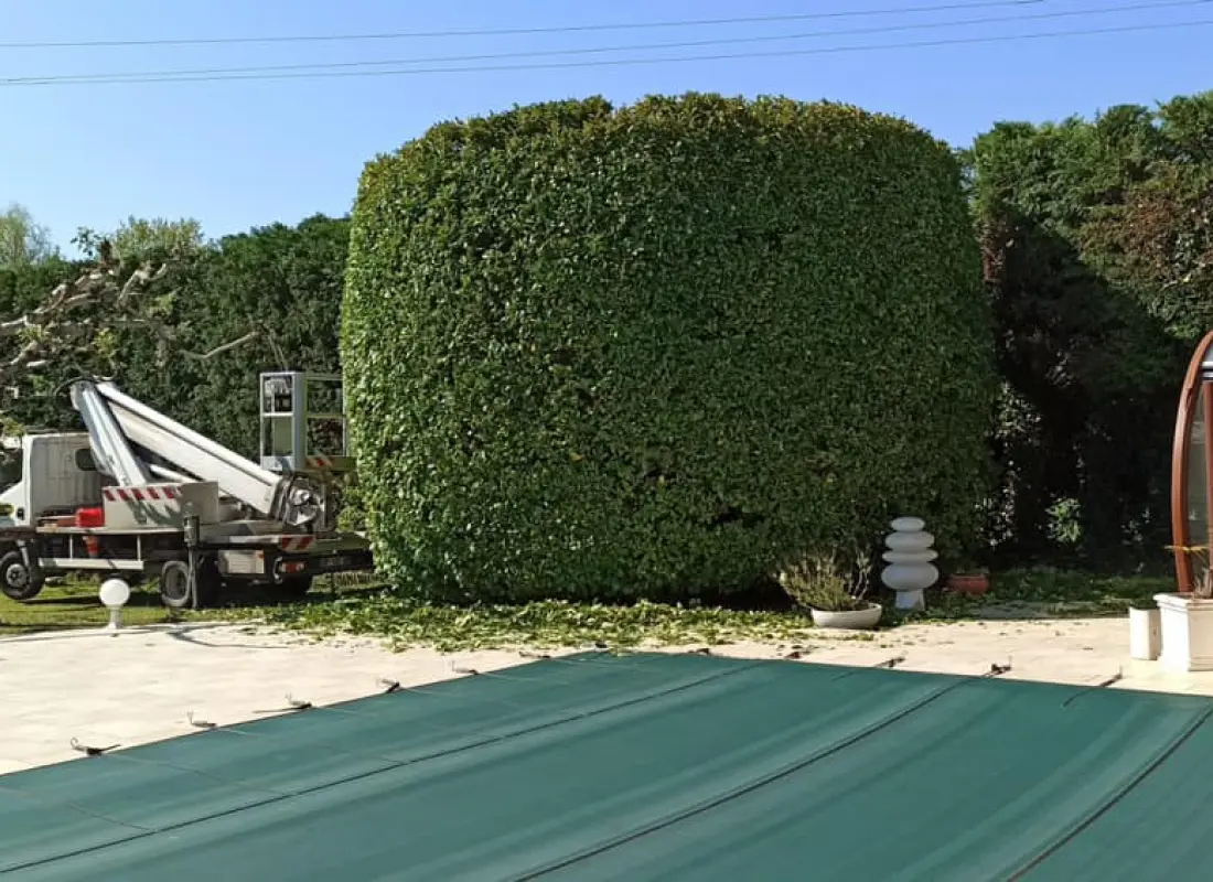 Garcin Elagage Elagage Vaucluse Realisation 6 1