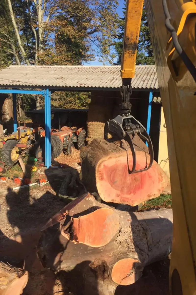 Garcin Elagage Elagage Vaucluse Realisation 8 1