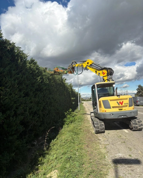 Garcin Elagage Elagage Vaucluse Taille De Haies Mecanique 2 Garcin Elagage Elagage Vaucluse Taille De Haies Mecanique 2