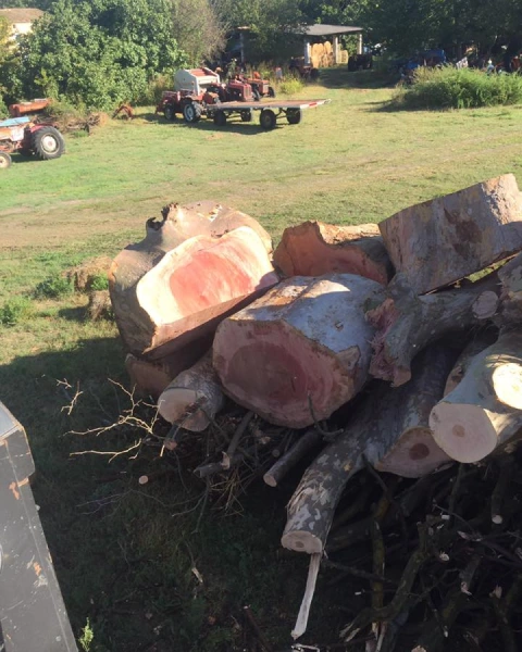 Garcin Elagage Elagage Vaucluse Valorisation Des Dechets 2 Garcin Elagage Elagage Vaucluse Valorisation Des Dechets 2