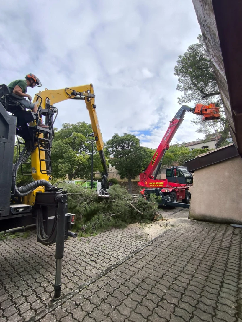 Garcin Elagage Elagage Vaucluse Lagage Abattage M Canique 4 1